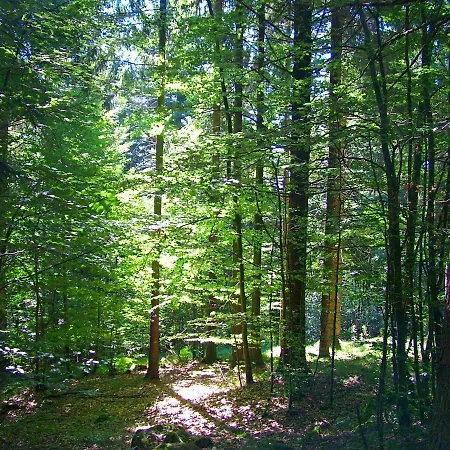 Al Bosco Roana