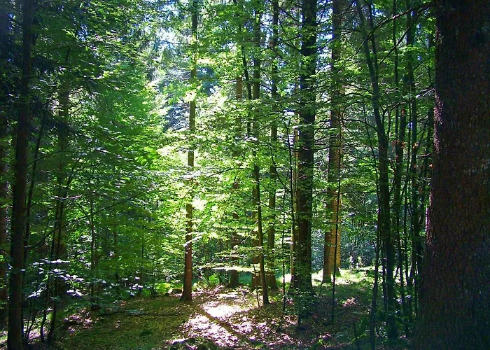 Al Bosco Roana